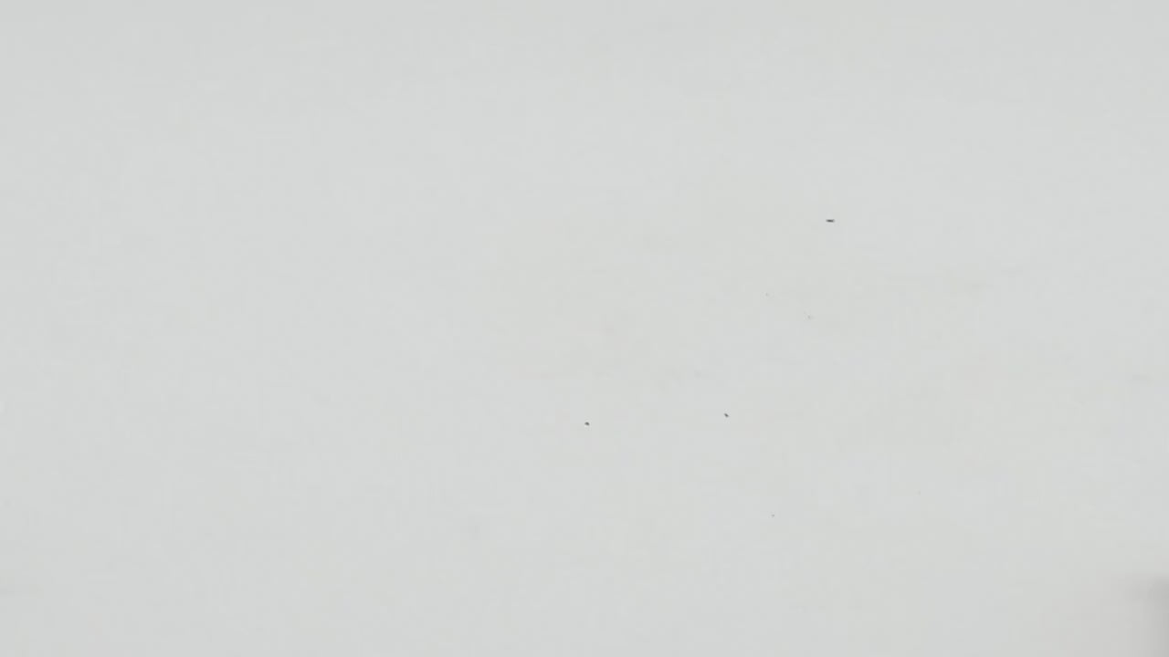 Sherman Jumbo Unpainted Miniature – Black Resin U.S. Assault Tank – 1/48 • 1/56 • 1/64 • 1/72 • 1/76 • 1/87 • 1/100 • 1/144