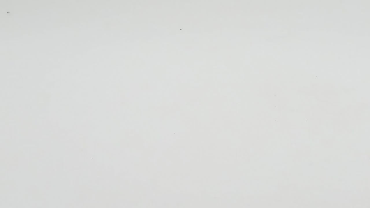 AMX-13 Unpainted Miniature – Black Resin French Light Tank – 1/48 • 1/56 • 1/64 • 1/72 • 1/76 • 1/87 • 1/100 • 1/144